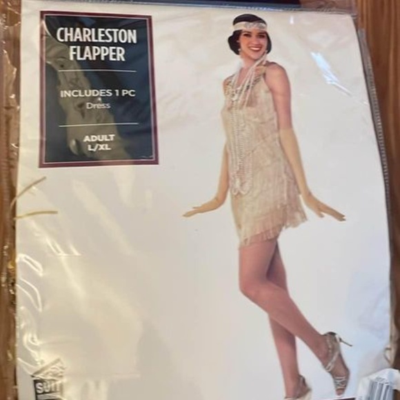 BRAND NEW women flapper fringe gold gatsby themed halloween dress size S/M L/XL - Picture 4 of 6